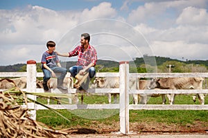 Happy Father And Son Smiling In Farm With Cows