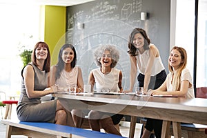 Happy female colleagues at a work meeting smiling to camera