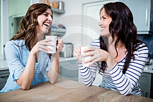 Happy female friends holding coffee mugs while discussing at table