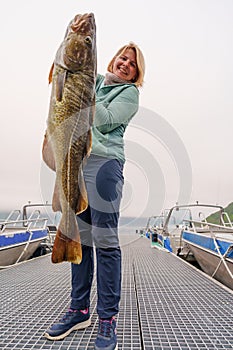 Happy Fisherwoman holding big arctic cod. Norway happy fishing. Woman with cod fish in hands