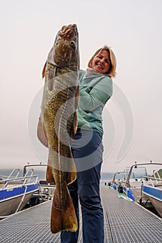 Happy Fisherwoman holding big arctic cod. Norway happy fishing. Woman with cod fish in hands