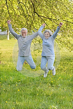 Happy fit senior couple jumping