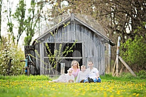 Happy four member young family spending spring afternoon together outdoors in orchard, sitting in a grass