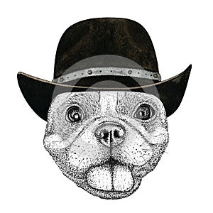 Happy french bulldog dog head hand drawn illustration. Wild animal wearing cowboy hat Wild west