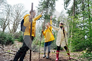 Happy friends giving high five after completing hiking trek in forest. Teamwork. Travel in adventure lifestyle, nature