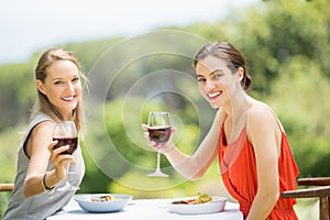 Happy friends toasting wine glasses