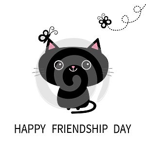 Happy Friendship Day. Black cat silhouette and butterfly insect.