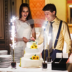 Happy fun bride and groom cuting big white weddin cake decorate