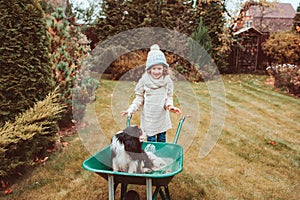 Happy funny child girl riding her dog in wheelbarrow in autumn garden, candid outdoor capture