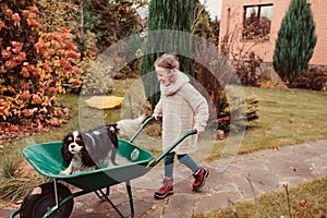 Happy funny child girl riding her dog in wheelbarrow in autumn garden, candid outdoor capture