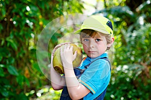 Happy funny little preschool kid boy holding huge coconut.