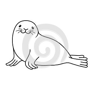 Happy fur seal lying on the beach and smiling.Vector illustration.