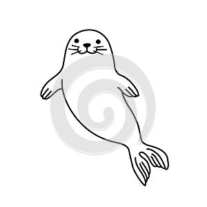Happy fur seal in water