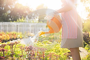 Happy gardener woman in apron watering garden. Concept summer hobby