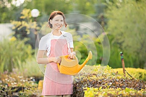 Happy gardener woman in apron watering garden. Concept summer hobby