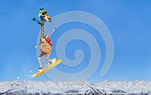 Happy giraffe snowboarder jump high over mountains