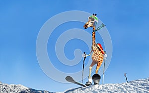 Happy giraffe wear ski stand on top of a mountain