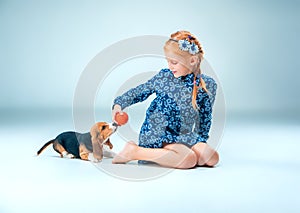 The happy girl and a beagle puppie on gray background