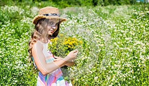 Happy girl collecting wildflowers sunny summer day, Harvesting Drying and Storing Herbs