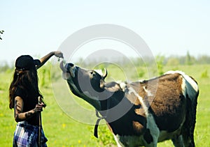 Happy girl feeding cow