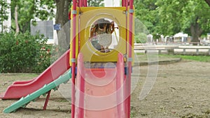 Happy girl having fun on colorful slides. Children playing slides at outdoor playground in park during summer vacation.