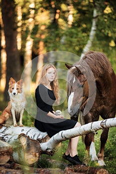 Happy girl with her horse and border collie dog