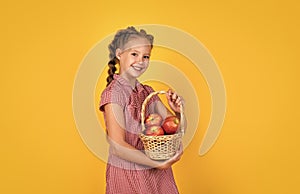 happy girl holding apples from garden. kid hold basket with fruit. child eating red apple. summer healthy food