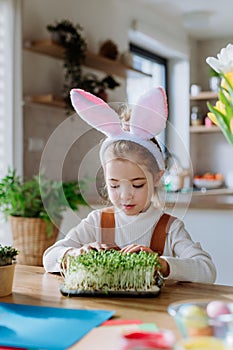 Happy girl looking at growing plants after decorating easter eggs.