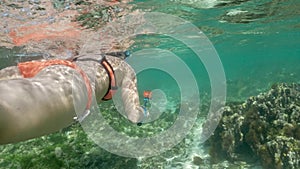 Happy Girl Ocean View Super SlowmotionGirl Snorkeling Tropics Ocean Water Slowmotion 4k