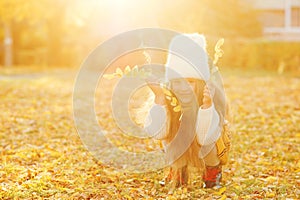 Happy girl playing with autumn leaves. Happy child walking and having fun in fall backyard