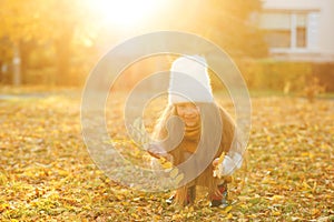 Happy girl playing with autumn leaves. Happy child walking and having fun in fall backyard