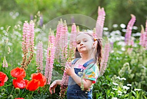 A happy girl with ponytails in a denim overalls with shorts and a multi-colored t-shirt stands among a flower field. pink lupins,