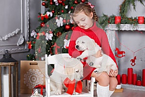 Happy girl with two puppies Golden Retriever on a background of Christmas tree