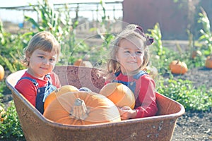 Happy girls sitting inside wheelbarrow at field pumpkin patch