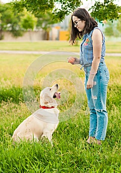 Happy golden retriever dog with owner Training in summer park