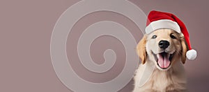 Happy Golden Retriever puppy wearing a Santa hat. Christmas pet theme banner. Generative AI image