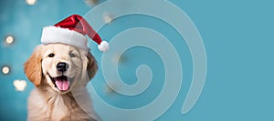 Happy Golden Retriever puppy wearing a Santa hat. Christmas pet theme banner. Generative AI image