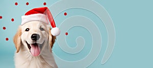 Happy Golden Retriever puppy wearing a Santa hat. Christmas pet theme banner. Generative AI image