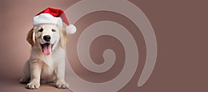 Happy Golden Retriever puppy wearing a Santa hat. Christmas pet theme banner. Generative AI image