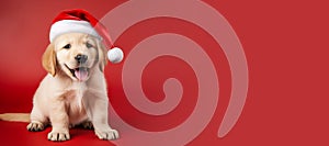 Happy Golden Retriever puppy wearing a Santa hat. Christmas pet theme banner. Generative AI image