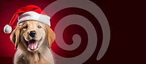 Happy Golden Retriever puppy wearing a Santa hat. Christmas pet theme banner. Generative AI image