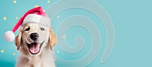 Happy Golden Retriever puppy wearing a Santa hat. Christmas pet theme banner. Generative AI image