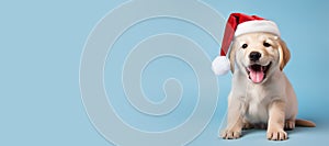 Happy Golden Retriever puppy wearing a Santa hat. Christmas pet theme banner. Generative AI image