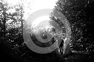 Happy gorgeous bride and stylish groom holding hands and walking