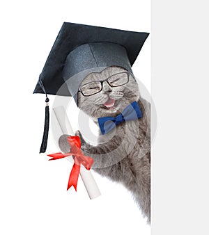 Happy graduated cat with diploma peeking from behind empty board. isolated on white background