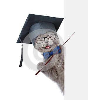 Happy graduated cat holding a pointing stick and points on empty banner. isolated on white background