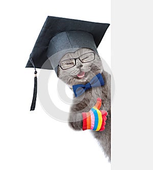 Happy graduated cat peeking from behind empty board and showing thumbs up. isolated on white background