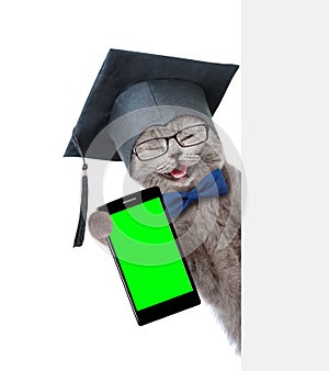 Happy graduated cat with smartphone peeking from behind empty board. Isolated on white background