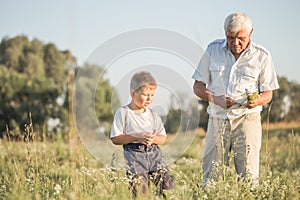 Happy grandfather and grandson walking at summer meadow.  Cute boy gives flowers his old grandpa