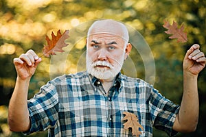Happy grandfather holding yellow leaf over autumn leaves background. Golden age grandfather. Happy senior man looking at